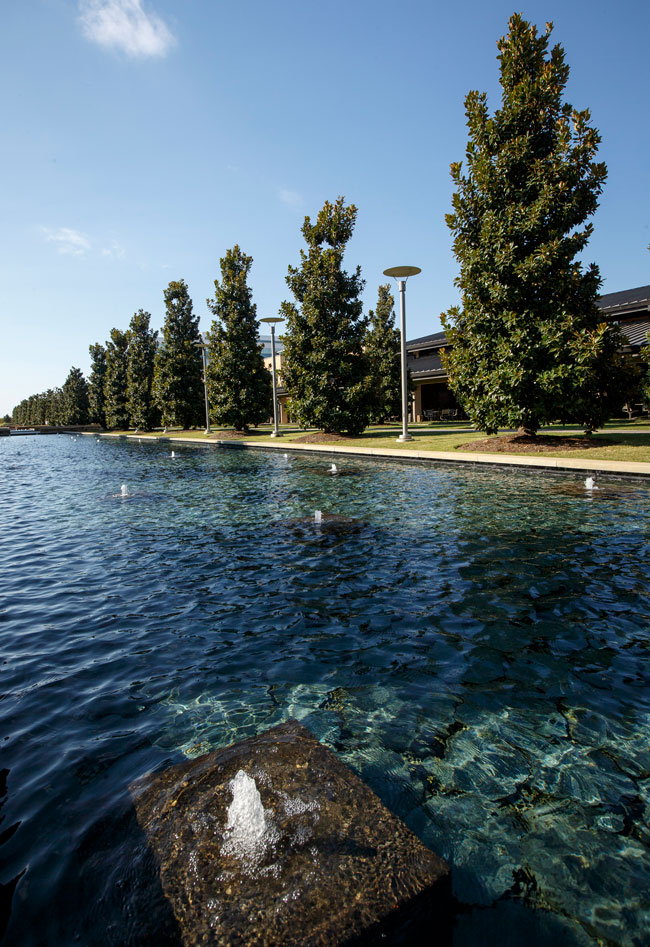 Reflecting pool on UTD campus.